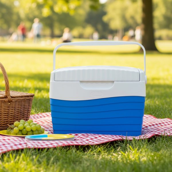 Heladerita Portátil 4 Litros
