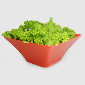 Compotera Cuadrada Grande